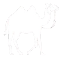 Remaining Camel